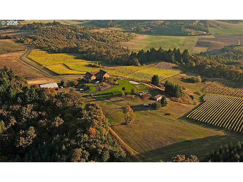 10660 YOUNGBERG HILL RD - RMLS #123657258
