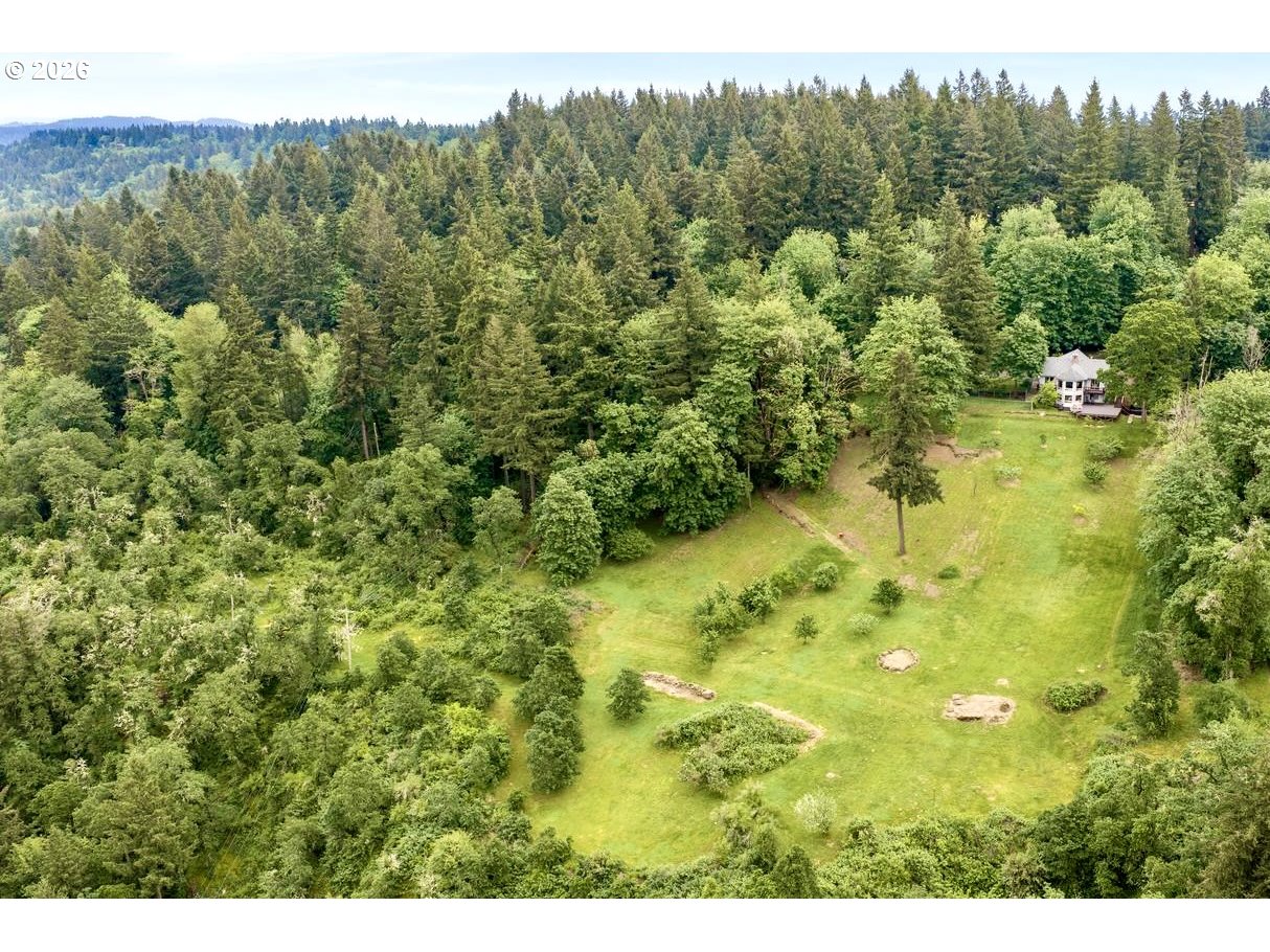 10585 BEUTEL RD - RMLS #134978601