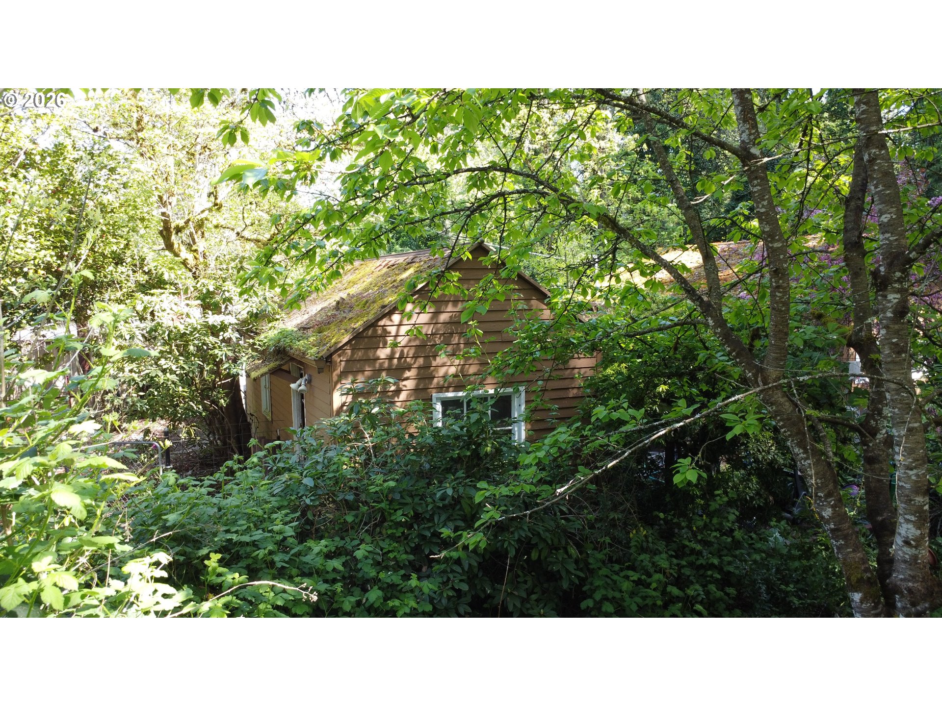 22315 ENDIVE RD - RMLS #203159830