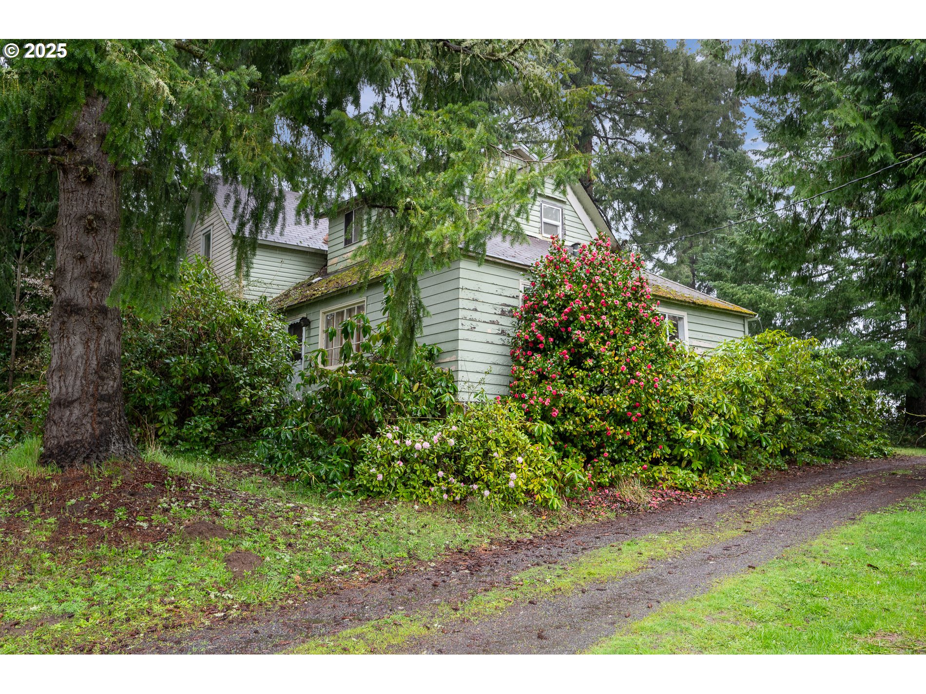 20812 ELWERT RD - RMLS #587167343