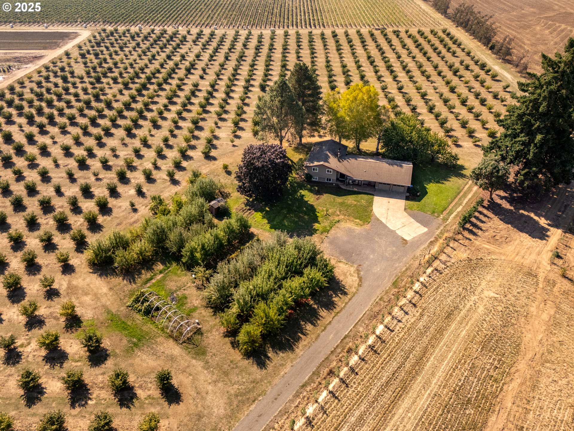 24730 TILE FLAT RD - RMLS #799824741